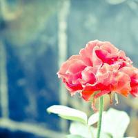 良好的友谊也将堕落短暂的句子