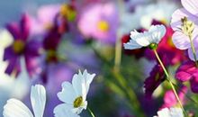 最美正能量朋友情深句子