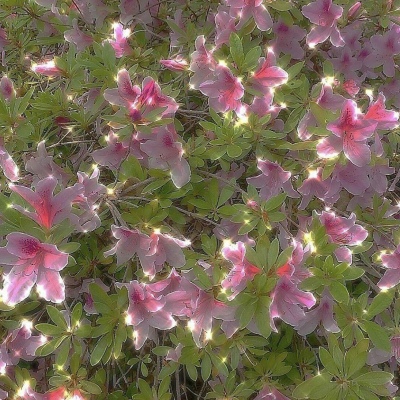 与朋友的经典句子