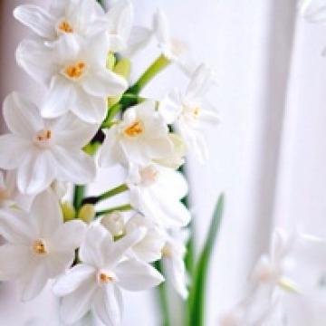 最美丽而精力充沛的朋友喜欢深刻的句子