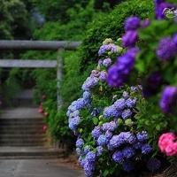 最美丽和最能源的朋友喜欢深刻的句子1