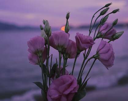 15.在这个世界上，让你依靠自己的人自己，可以拯救你的人只能自己。