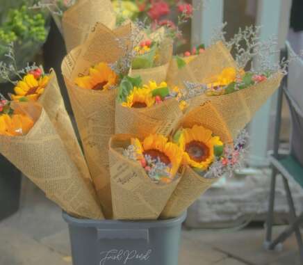 15.人格被忽视的人会非常悲伤，而且他们不在乎，它会更加悲伤。因此，它不好。