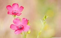 15.世界上喧嚣，即世俗的幸福和幸福，就像一个清澈的溪流，在风中，在我的眼睛里，我已经过去了，温暖就像春水，我没有奢侈，我只是希望你快乐，不要伤心