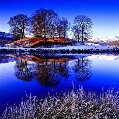 15，然后看看樱花旁边的桃花，美丽。他们正在对我微笑，看起来很喜欢天空。金色的太阳，闪闪发光。雨后桃花，让人们闻到香气和醉酒。好 -   - 句子：“莹莹二重麦面前，灌木桃花！”这些桃花，你不要让我，我不让你，有一个集群，有一个单独的