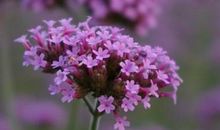 表示单位之间友情永存的句子