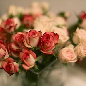 代表单位之间的友谊句