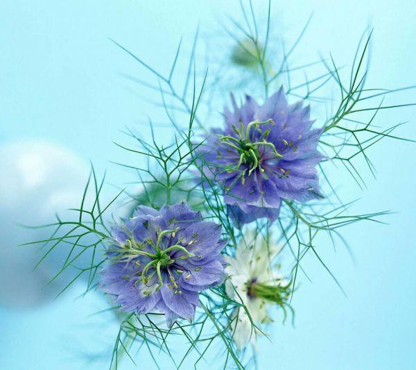 代表单位1之间的就业之间的句子1