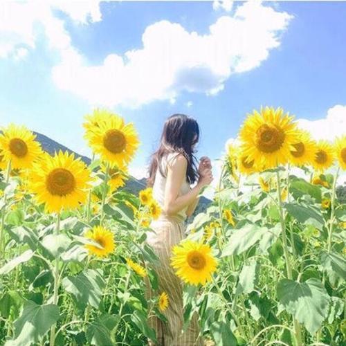 描述友谊的判决，如樱花1