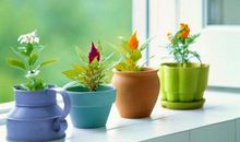 退休后的心情说说