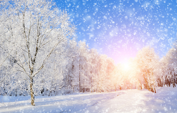 100.一般玉器账户,拿着酒杯看雪飞。 - 刘继“北风”