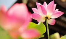 讽刺不珍惜友情的句子说说心情