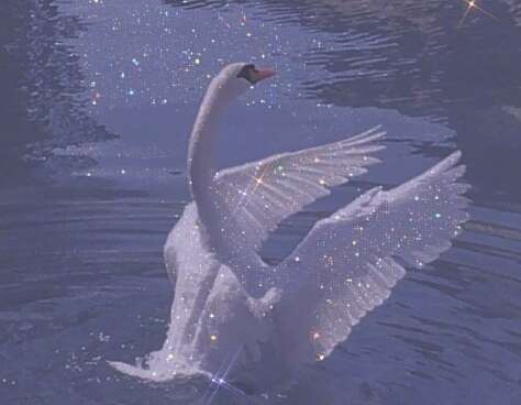 20,祝你所有独特的花朵和浪漫。