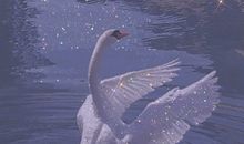 微信置顶的神仙唯美签名