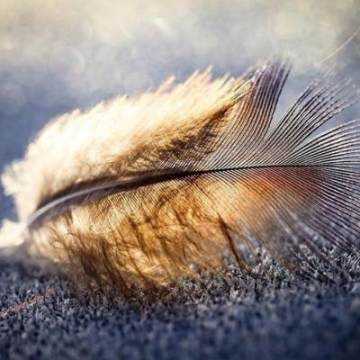 描述家庭真诚友谊的判决