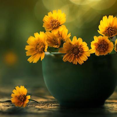 描述句子1句子1