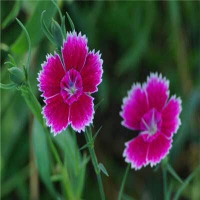 让你的朋友继续为你带来一个幸福的句子1