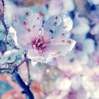 朋友圈子照片见证了句子