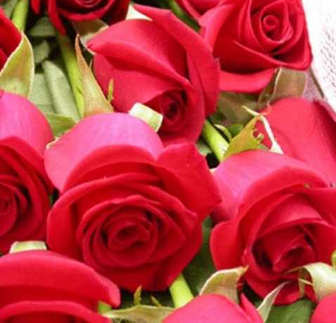 感受友谊的判决，谈谈情绪