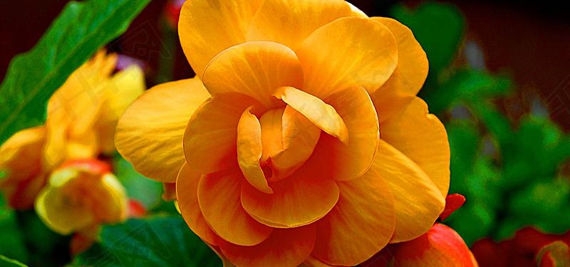 程蒙浩不会放弃友谊句