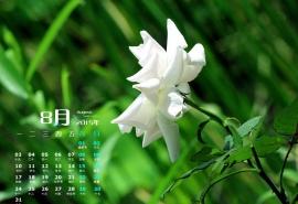 15.谁是古老的道路。谁在古老的道路上..百年的寂寞。孤独的百年寂寞，孤独的谁是孤独的。过去的肩膀，遇到这一寿命。爱是在风中飞翔，在雨中感觉。我曾经迷恋，我曾经做出了混乱的粉丝，我醒了。这一刻：爱没有什么，爱情是沉默的。