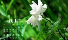 朋友情忆往事的句子