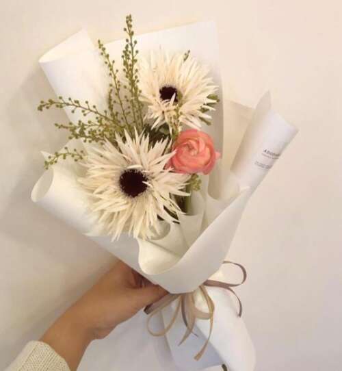 夫妇伴随着旧的美容声明1