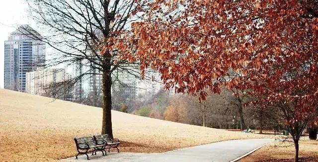 18.与爱情的人交谈和爱的人，我永远不会欢迎那些让那些再次出现的人再次出现。即使我不想看到它。