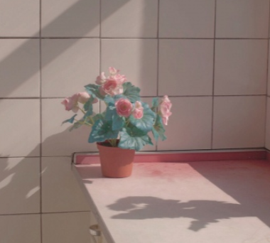 20，世界的美丽是及时和善意和温柔的温柔。