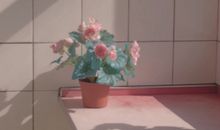 温柔女孩的个性签名