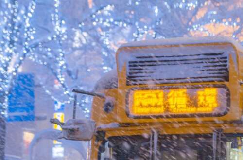 19，雪来了，牛奶茶也喝醉了，栗子也被吃掉了，烤的土豆也在武器中。