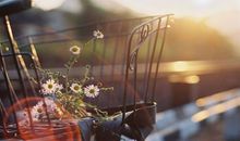 有关于童年友情的句子