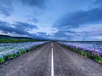 友情句子的动画特征1