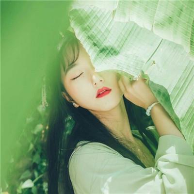 动画的人友谊句