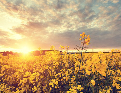 15.你的世界 - 只在你的手机上 - 你的想法 - 但是来源是结束 - 我无法在现实世界中表达我的思想 - 只有文本的组合和变更 - 创造你心中的另一张照片。