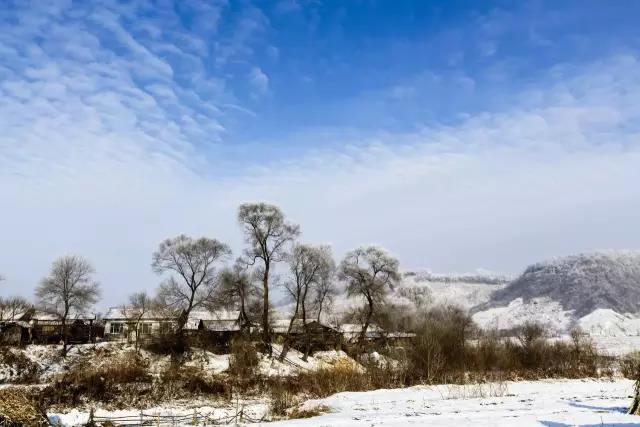 25.最近的严重生活值得奖励：我想从喜欢在早期雪中的人们接受一个吻。