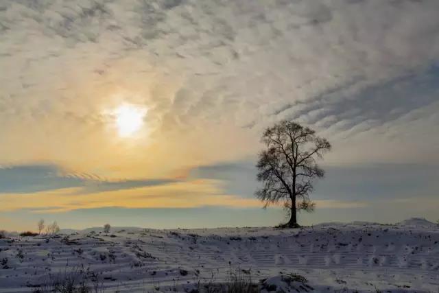 雪景情感短句美丽短句
