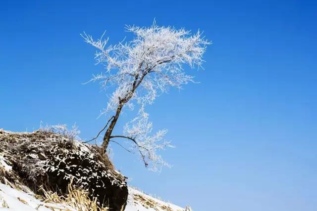 雪景情感短句美丽短句1