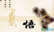 形容很忙的句子