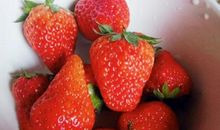 朋友聚会发表心情说说