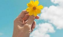 2020适合发朋友圈的精美句子