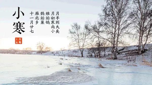 另一年的小冷判决