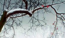 关于欺骗友情的句子