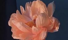 气场全开的超拽签名