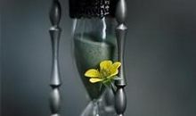 自作多情的伤感句子关于友情