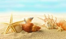 关于友情相遇的句子唯美句子