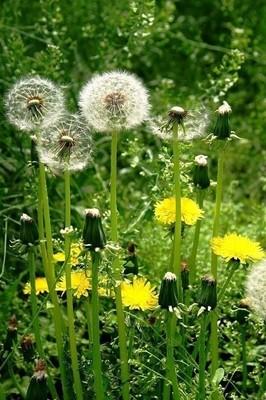 关于友谊的自爱悲伤句子1