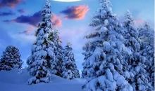 朋友圈雪景文案