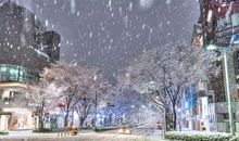 大雪纷飞朋友圈说说