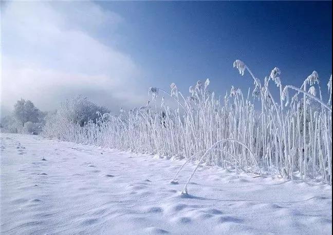 在雪场面的美丽的句子